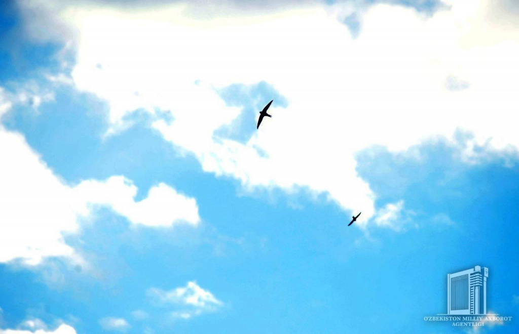 photo_2020-04-07_13-20-29.jpg photo_2020-04-07_13-20-29.jpg