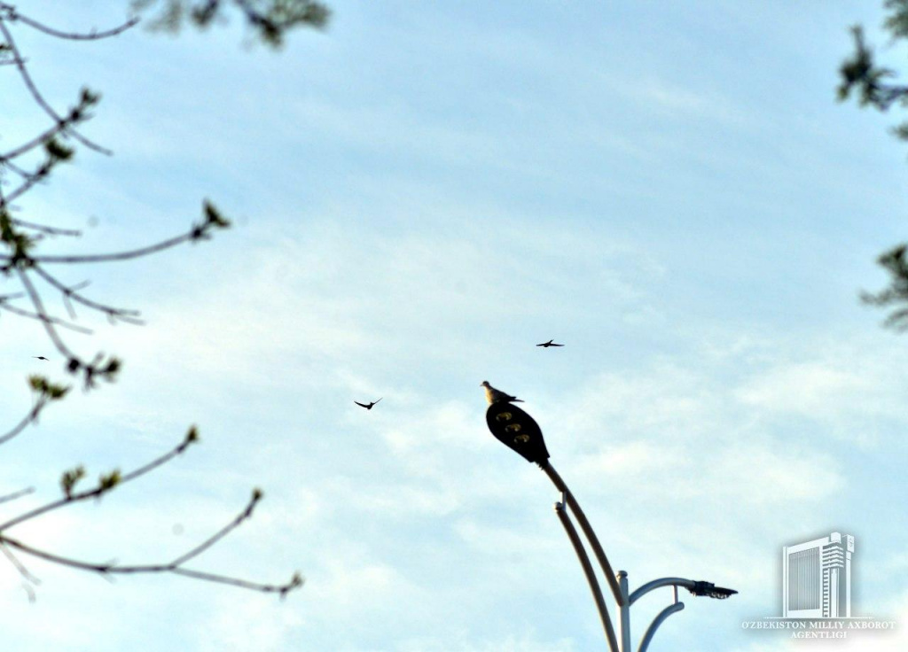 photo_2020-04-07_13-20-30.jpg photo_2020-04-07_13-20-30.jpg