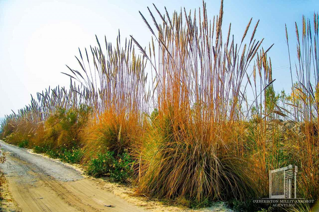 photo_2020-10-31_12-54-54.jpg photo_2020-10-31_12-54-54.jpg