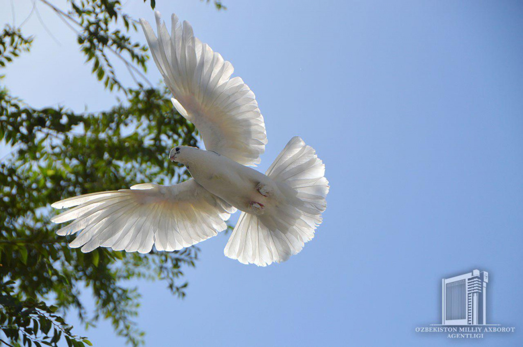 photo_2020-03-31_13-09-23 (2).jpg photo_2020-03-31_13-09-23 (2).jpg