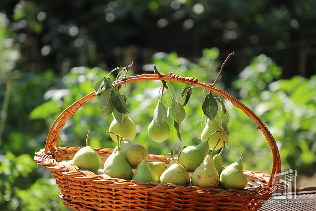 photo_2020-07-06_11-02-58 (2).jpg