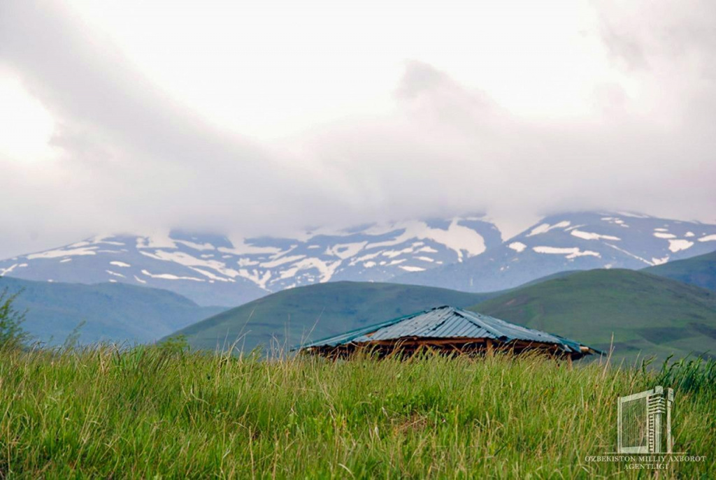 photo_2020-04-18_13-36-18 (2).jpg photo_2020-04-18_13-36-18 (2).jpg