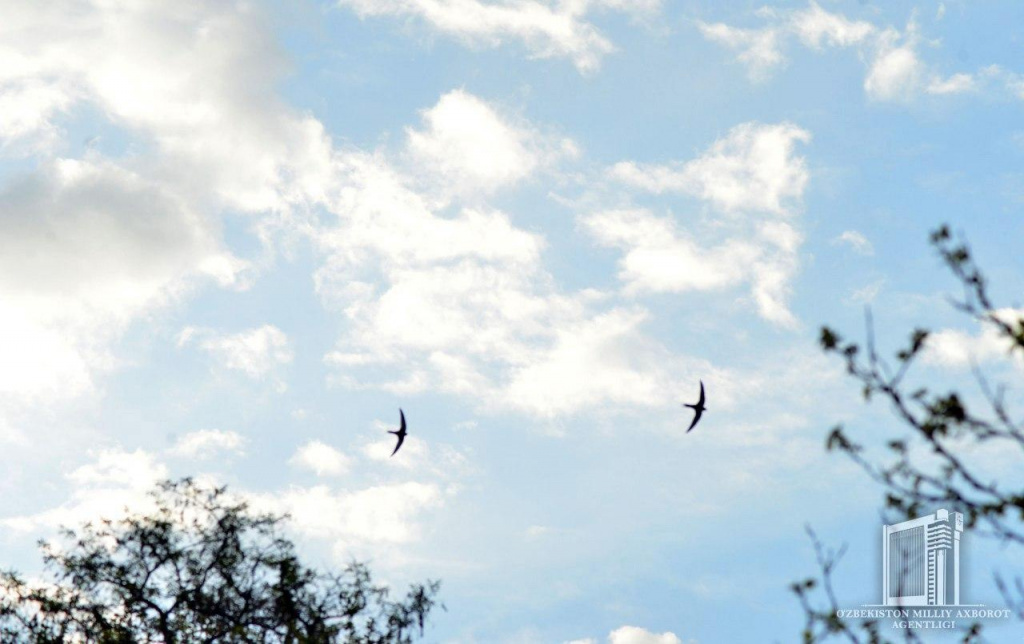 photo_2020-04-07_13-20-29 (2).jpg photo_2020-04-07_13-20-29 (2).jpg