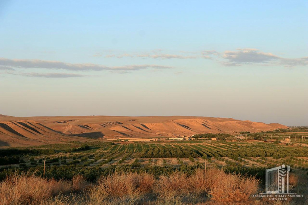 photo_2020-07-31_16-39-15.jpg photo_2020-07-31_16-39-15.jpg