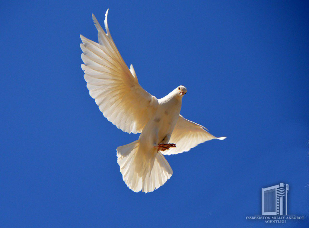 photo_2020-03-31_13-09-24.jpg photo_2020-03-31_13-09-24.jpg