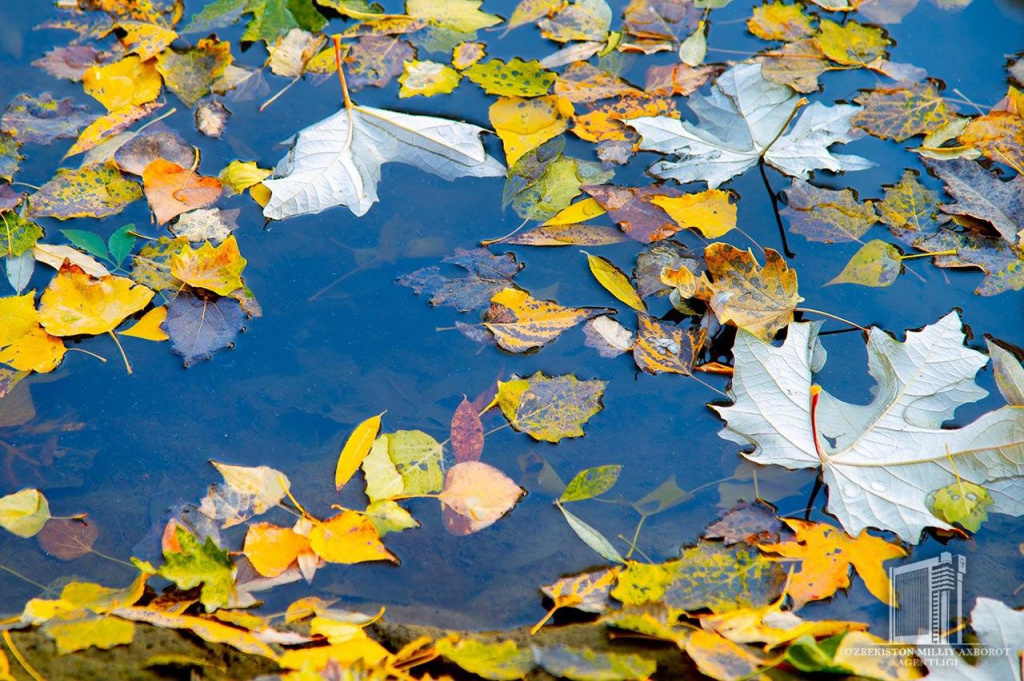 photo_2020-10-31_12-54-52.jpg photo_2020-10-31_12-54-52.jpg