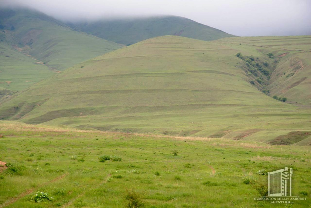 photo_2020-04-18_13-36-18.jpg photo_2020-04-18_13-36-18.jpg