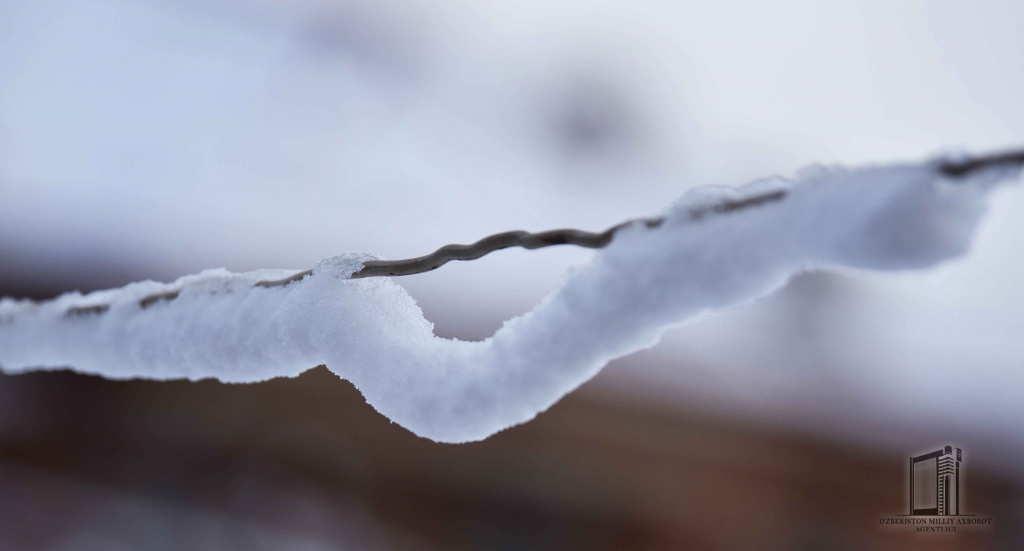 Hovli-olma-qor (10).jpg