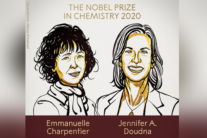 14хи.jpg 14хи.jpg