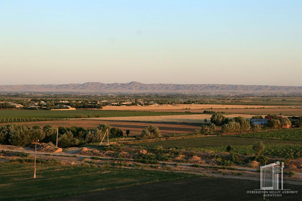photo_2020-07-31_16-39-09.jpg photo_2020-07-31_16-39-09.jpg