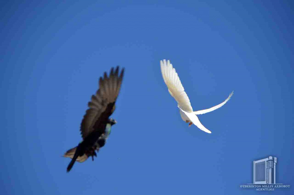 photo_2020-03-31_13-09-23.jpg photo_2020-03-31_13-09-23.jpg