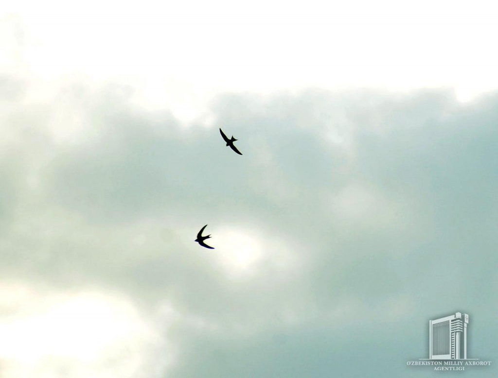 photo_2020-04-07_13-20-28 (2).jpg photo_2020-04-07_13-20-28 (2).jpg