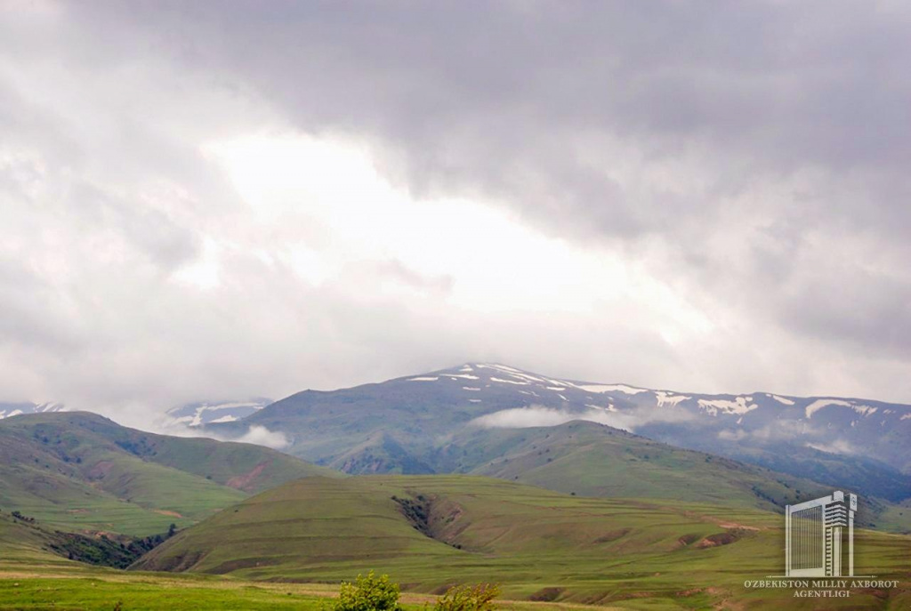 photo_2020-04-18_13-36-17.jpg photo_2020-04-18_13-36-17.jpg