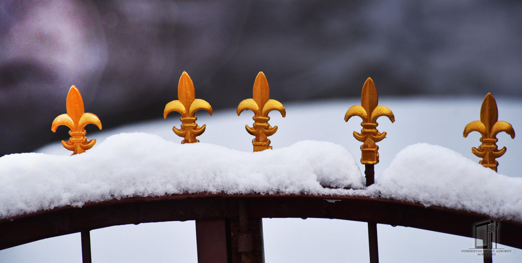 Hovli-olma-qor (9).jpg