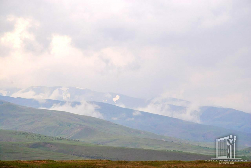 photo_2020-04-18_13-36-19.jpg photo_2020-04-18_13-36-19.jpg