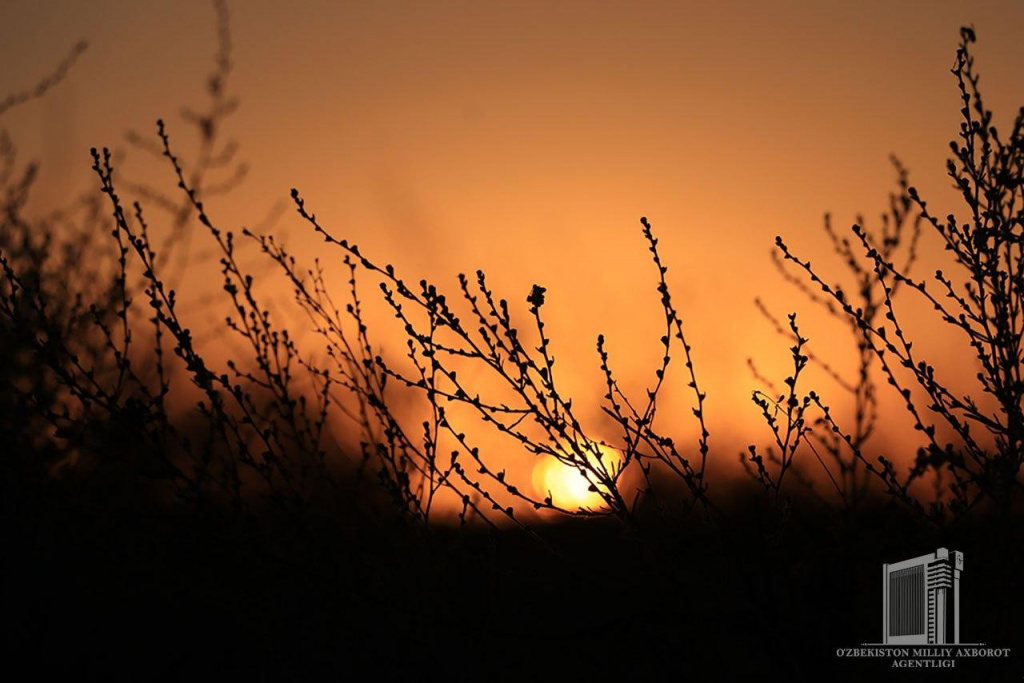 photo_2020-07-31_16-39-17.jpg photo_2020-07-31_16-39-17.jpg
