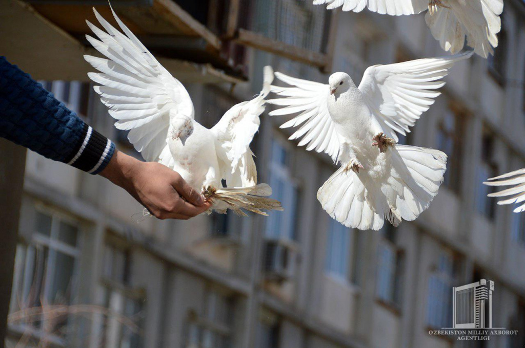 photo_2020-03-31_13-09-26.jpg photo_2020-03-31_13-09-26.jpg