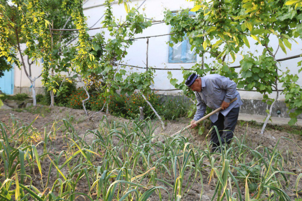 асо.jpg асо.jpg