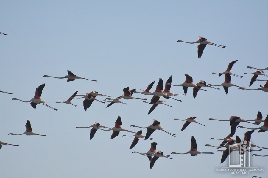 Beautiful landscapes of Sudoche