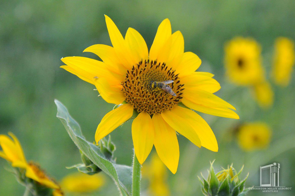 photo_2020-06-05_10-00-13.jpg photo_2020-06-05_10-00-13.jpg
