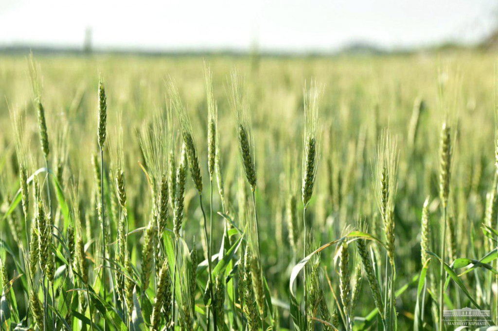 06ad5de6-836b-68c2-6143-e123353ab331.jpg 06ad5de6-836b-68c2-6143-e123353ab331.jpg