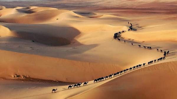 image041-733144.jpg image041-733144.jpg