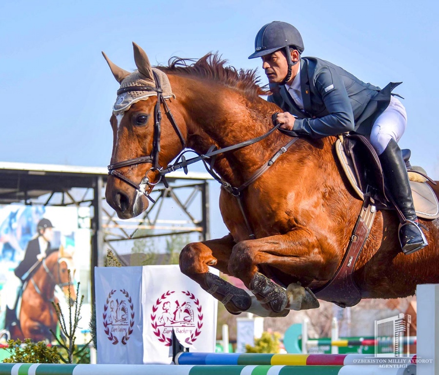 global tour equestrian