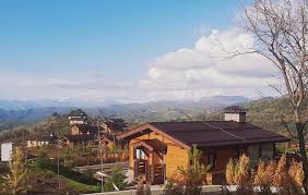 images (2).jpg images (2).jpg