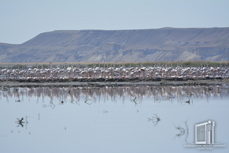 Beautiful landscapes of Sudoche