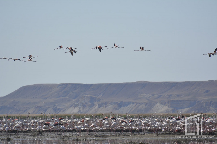 Beautiful landscapes of Sudoche