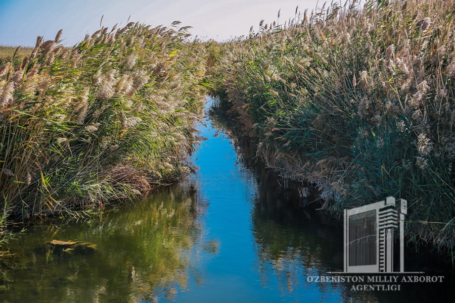 Beautiful landscapes of Sudoche